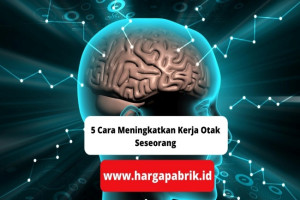 5 Cara Meningkatkan Kerja Otak Seseorang