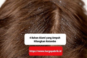 4 Bahan Alami yang Ampuh Hilangkan Ketombe