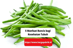 5 Manfaat Buncis bagi Kesehatan Tubuh