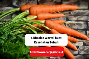 4 Khasiat Wortel buat Kesehatan Tubuh