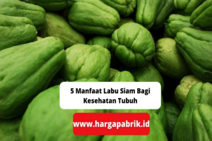 5 Manfaat Labu Siam Bagi Kesehatan Tubuh