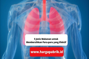 5 Jenis Makanan untuk Membersihkan Paru-paru yang Efektif