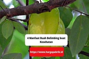 4 Manfaat Buah Belimbing buat Kesehatan