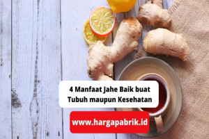 4 Manfaat Jahe Baik buat Tubuh maupun Kesehatan