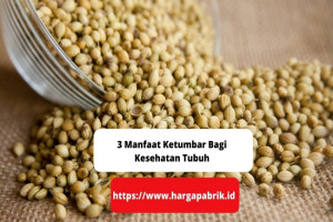 3 Manfaat Ketumbar Bagi Kesehatan Tubuh