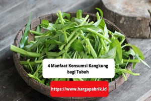 4 Manfaat Konsumsi Kangkung bagi Tubuh