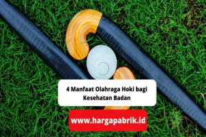 4 Manfaat Olahraga Hoki bagi Kesehatan Badan