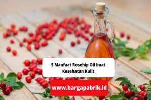 5 Manfaat Rosehip Oil buat Kesehatan Kulit