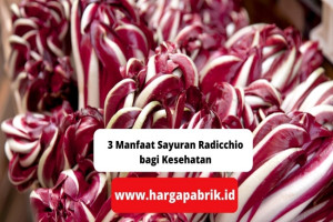 3 Manfaat Sayuran Radicchio bagi Kesehatan