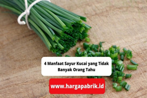 4 Manfaat Sayur Kucai yang Tidak Banyak Orang Tahu