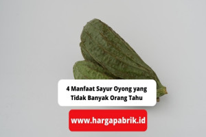 4 Manfaat Sayur Oyong yang Tidak Banyak Orang Tahu