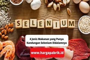 4 Jenis Makanan yang Punya Kandungan Selenium Didalamnya