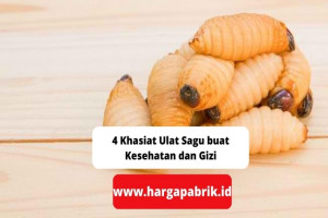 4 Khasiat Ulat Sagu buat Kesehatan dan Gizi