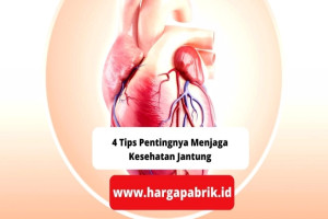 4 Tips Pentingnya Menjaga Kesehatan Jantung