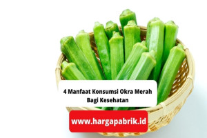 4 Manfaat Konsumsi Okra Merah Bagi Kesehatan