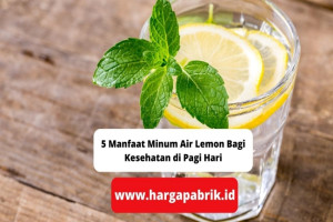 5 Manfaat Minum Air Lemon Bagi Kesehatan di Pagi Hari