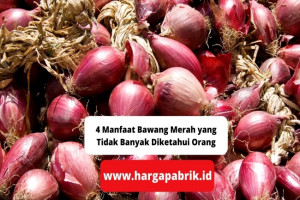 4 Manfaat Bawang Merah yang Tidak Banyak Diketahui Orang