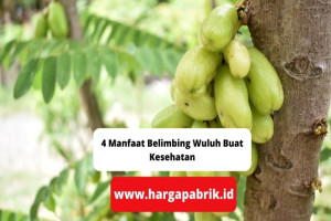 4 Manfaat Belimbing Wuluh Buat Kesehatan