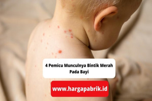 4 Pemicu Munculnya Bintik Merah Pada Bayi