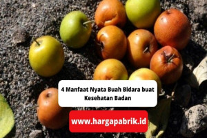 4 Manfaat Nyata Buah Bidara buat Kesehatan Badan