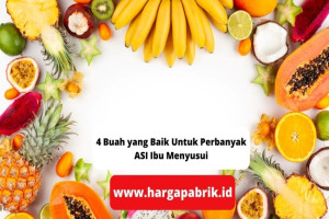 4 Buah yang Baik Untuk Perbanyak ASI Ibu Menyusui