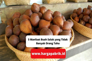 5 Manfaat Buah Salak yang Tidak Banyak Orang Tahu