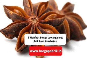 3 Manfaat Bunga Lawang yang Baik buat Kesehatan