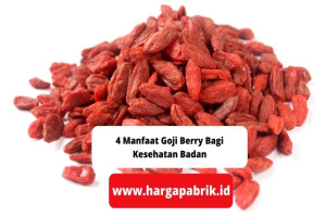 4 Manfaat Goji Berry Bagi Kesehatan Badan