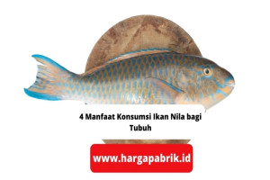 4 Manfaat Konsumsi Ikan Nila bagi Tubuh