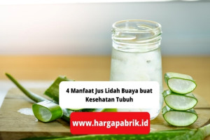 4 Manfaat Jus Lidah Buaya buat Kesehatan Tubuh