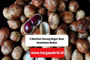 4 Manfaat Kacang Bogor Buat Kesehatan Badan