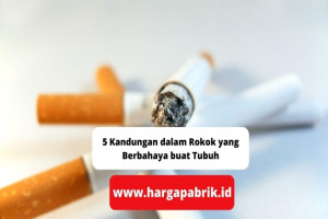 5 Kandungan dalam Rokok yang Berbahaya buat Tubuh