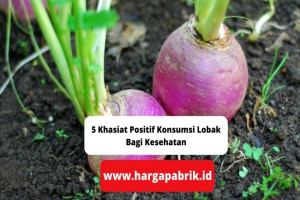 5 Khasiat Positif Konsumsi Lobak Bagi Kesehatan