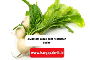 4 Manfaat Lobak buat Kesehatan Badan