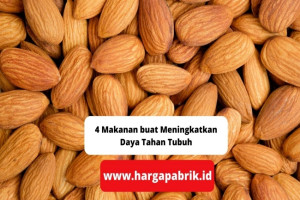 4 Makanan buat Meningkatkan Daya Tahan Tubuh