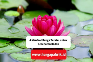 4 Manfaat Bunga Teratai untuk Kesehatan Badan