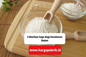 4 Manfaat Sagu Bagi Kesehatan Badan