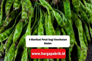 4 Manfaat Petai bagi Kesehatan Badan