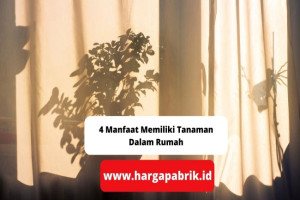 4 Manfaat Memiliki Tanaman Dalam Rumah