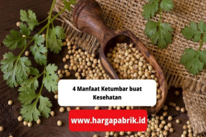 4 Manfaat Ketumbar buat Kesehatan