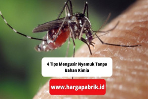 4 Tips Mengusir Nyamuk Tanpa Bahan Kimia