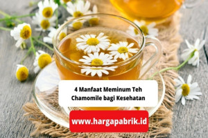 4 Manfaat Meminum Teh Chamomile bagi Kesehatan