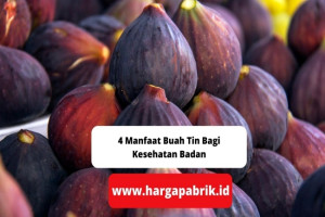 4 Manfaat Buah Tin Bagi Kesehatan Badan