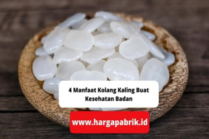 4 Manfaat Kolang Kaling Buat Kesehatan Badan