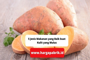 5 Jenis Makanan yang Baik buat Kulit yang Mulus