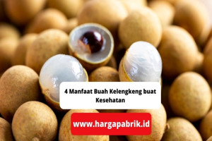 4 Manfaat Buah Kelengkeng buat Kesehatan