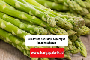 4 Manfaat Konsumsi Asparagus buat Kesehatan