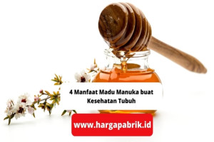 4 Manfaat Madu Manuka buat Kesehatan Tubuh