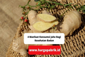 4 Manfaat Konsumsi Jahe Bagi Kesehatan Badan