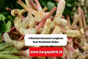 4 Manfaat Konsumsi Lengkuas buat Kesehatan Badan